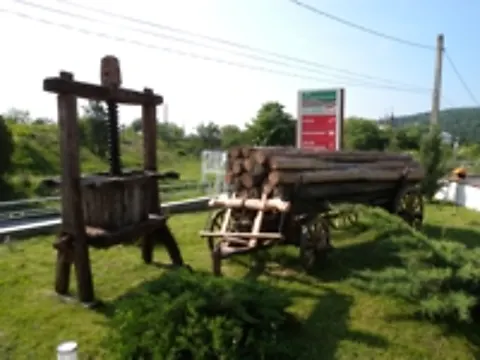 Teasc tradițional de struguri